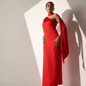 the seline high neck tie dress
